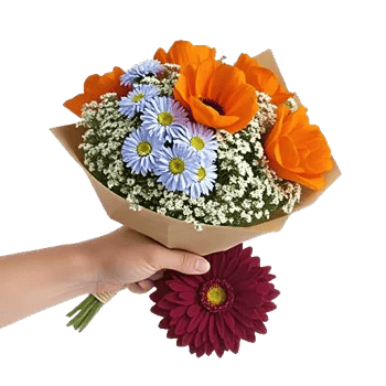 Blossom Petal Serenity