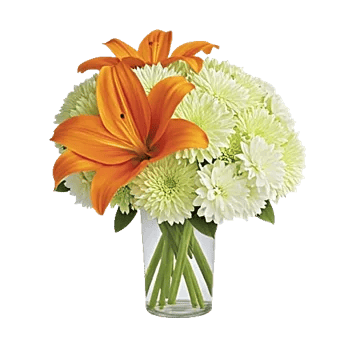 Graceful Lily Display