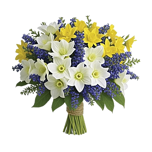 Crisp Spring Blooms