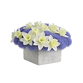 Cobalt Bloom Mix
