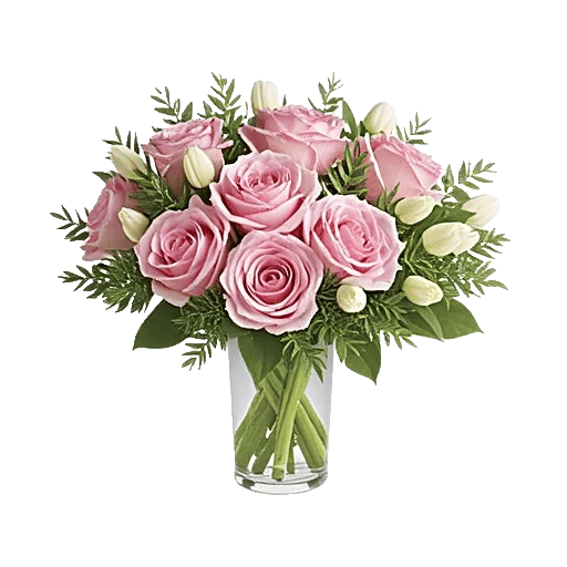 Pink Pastel Roses
