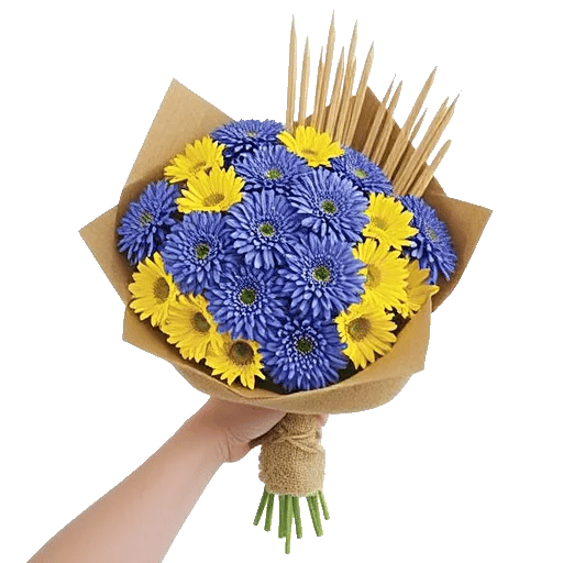 Petal Harmony Bliss