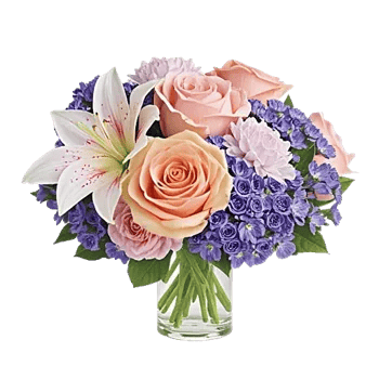 Petal Radiance Bliss