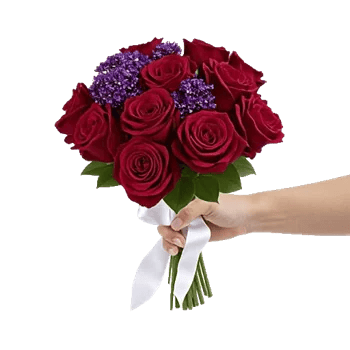 Crimson Rose Elegance