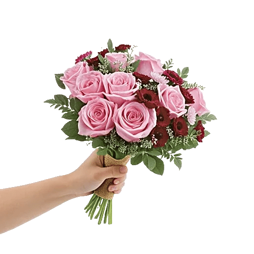 Pastel Pink Roses