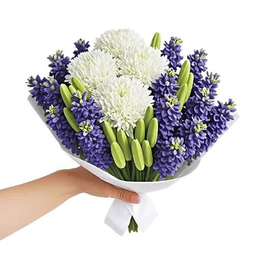 Modern White Orchids