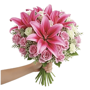 Blushing Rose Symphony