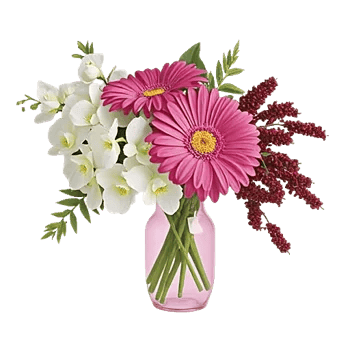 Orchid Bloom Cascade