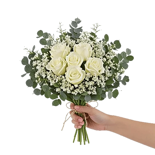 Minimalist White Orchids