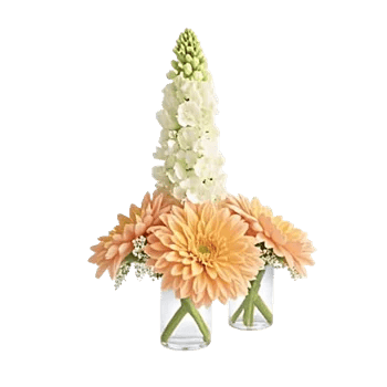 Petal Radiance Bliss