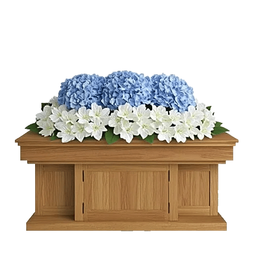 Azure Sky Blooms