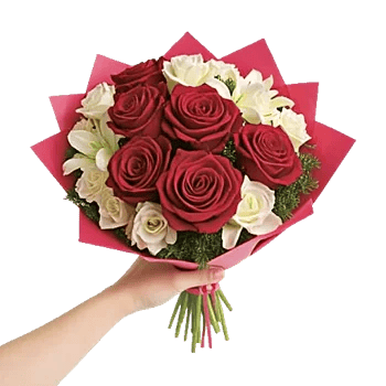 Crimson Rose Elegance