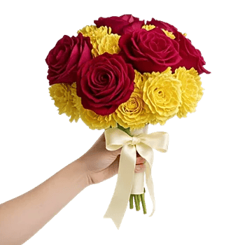 Crimson Rose Elegance