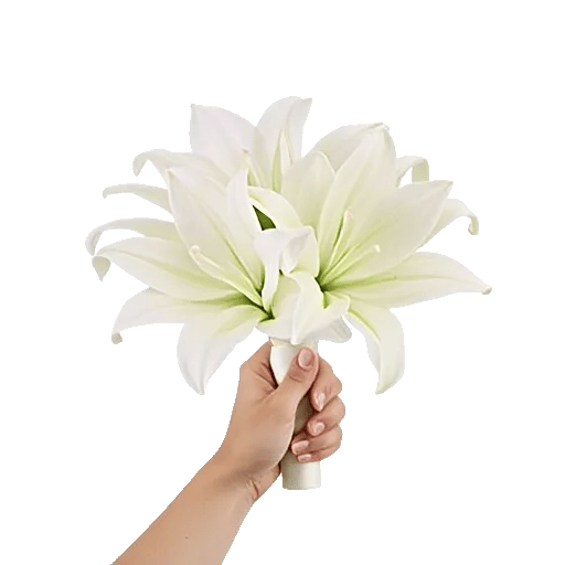 Graceful Lily Display