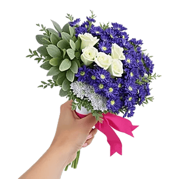 Elegant Blue Roses