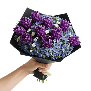 Blossom Harmony Display