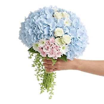 Delicate Petal Cascade