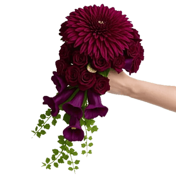 Ruby Petal Cascade