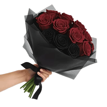Crimson Rose Elegance