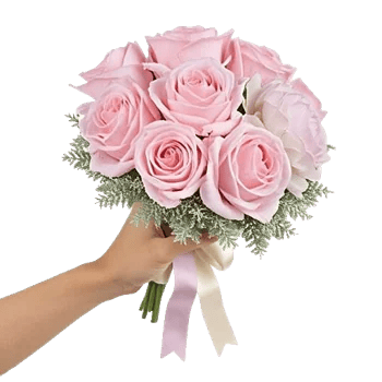 Pastel Pink Roses