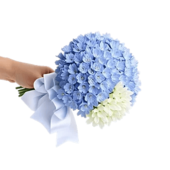 Elegant Blue Roses