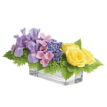 Delicate Petal Cascade