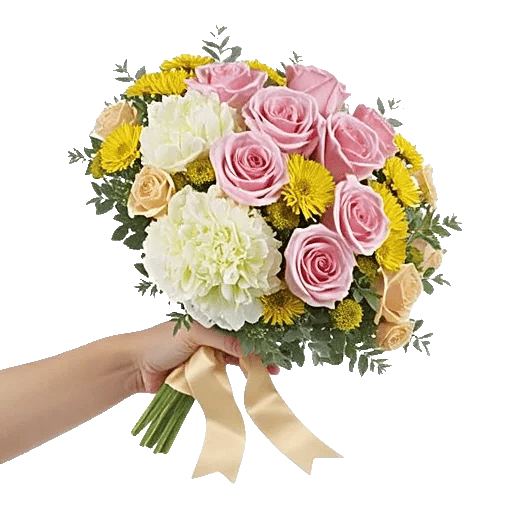 Blushing Rose Symphony