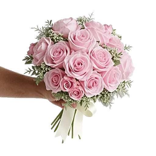 Pastel Pink Roses