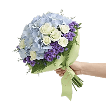 Serene Petal Harmony