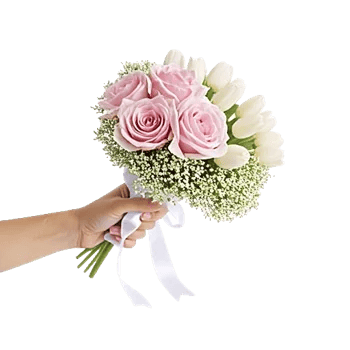 Blushing Rose Symphony