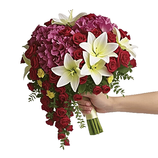 Delicate Petal Cascade