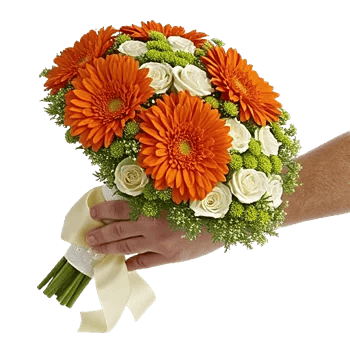 Radiant Bloom Cascade