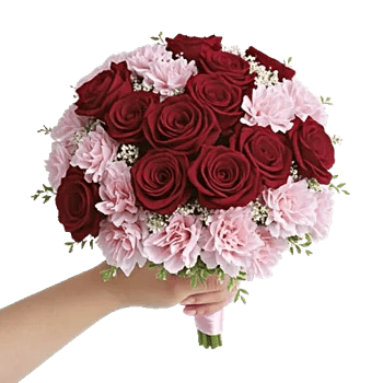 Crimson Rose Elegance