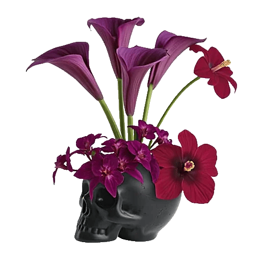 Elegant Calla Lilies