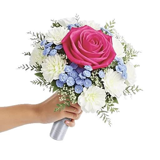 Pastel Pink Roses