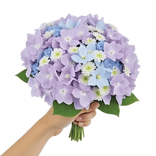 Serene Petal Harmony