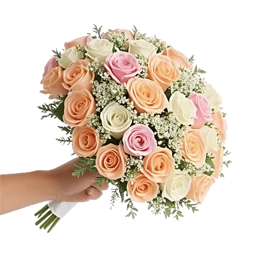 Pastel Pink Roses