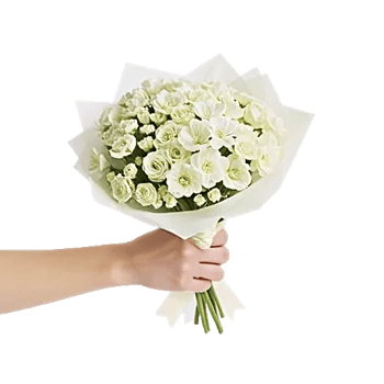 Delicate Petal Cascade