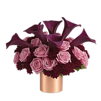 Elegant Calla Lilies