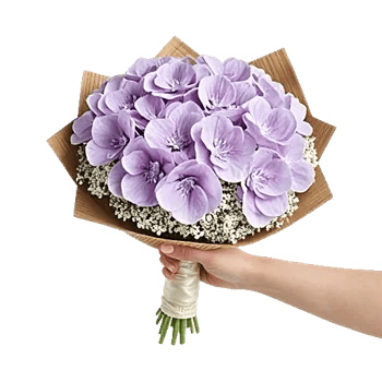 Serene Petal Harmony