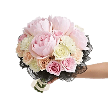 Peony Petal Harmony