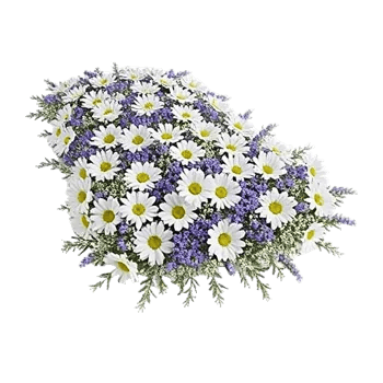 Delicate Petal Cascade