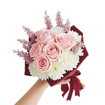 Pastel Pink Roses