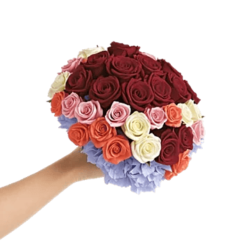 Blushing Rose Symphony