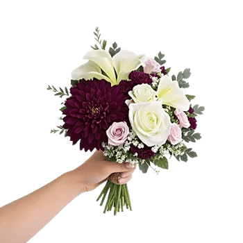 Elegant Calla Lilies
