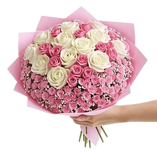 Pastel Pink Roses