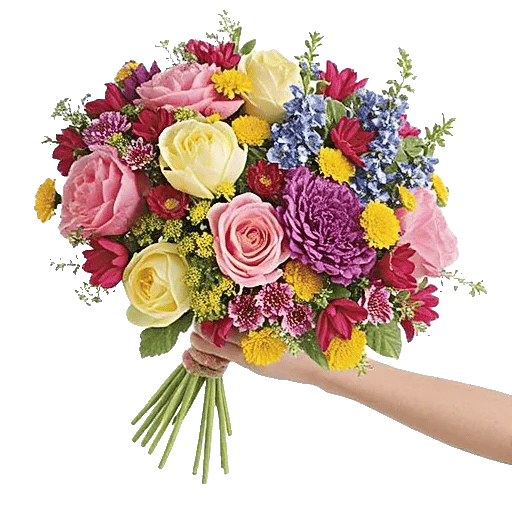 Peony Petal Harmony