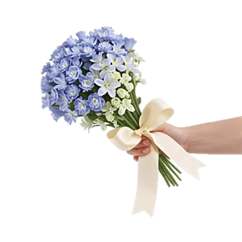Elegant Blue Roses