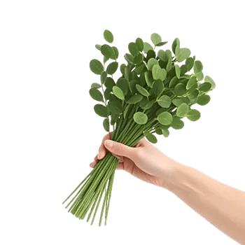 Emerald Leaf Harmony