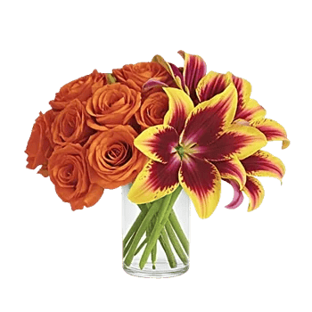 Petal Radiance Bliss